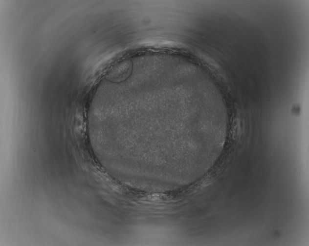 X0000114660966200911101339