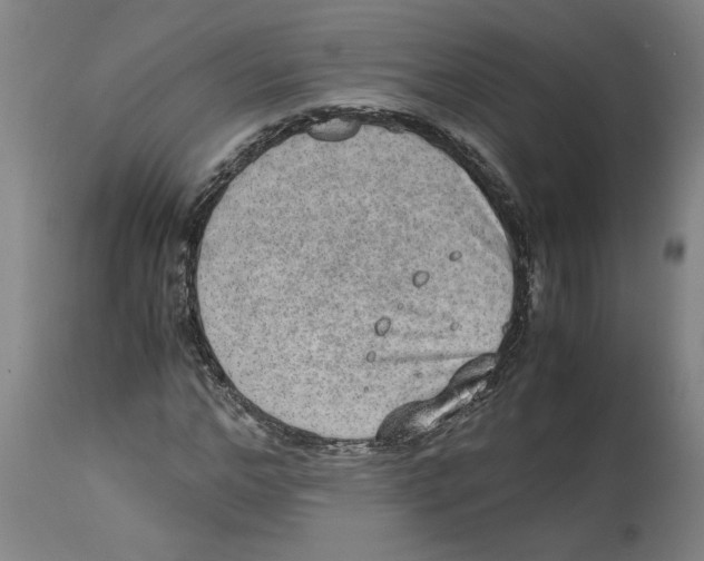 X0000114660968200911101339