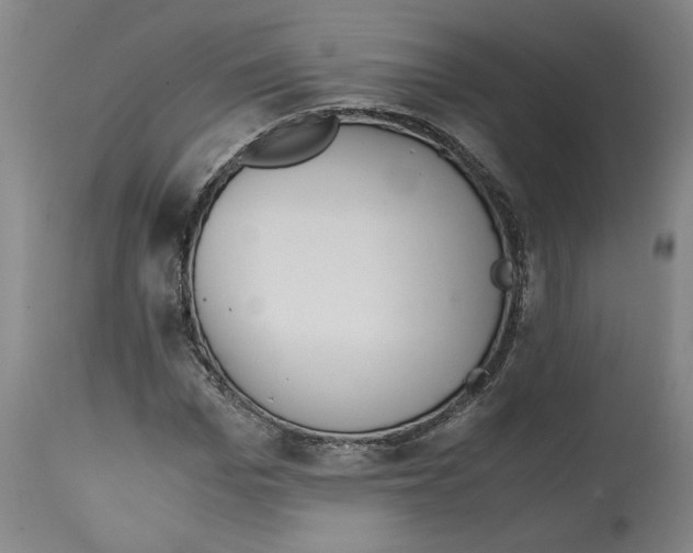 X0000114660969200911101339