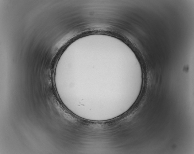 X0000114660970200911101339