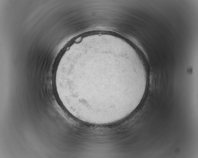 X0000114660972200911101339