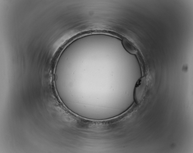 X0000114660973200911101339