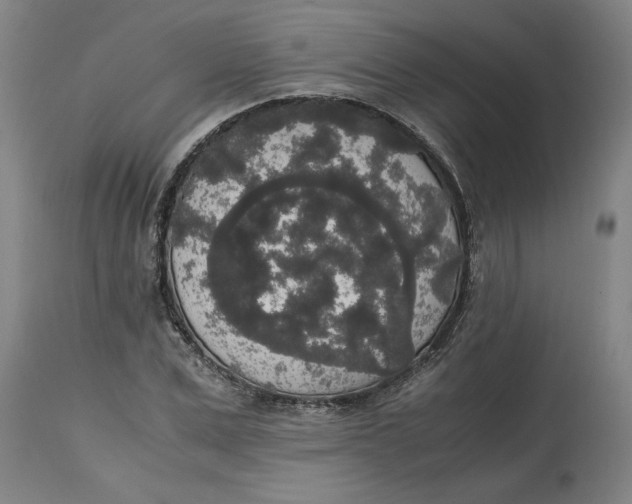 X0000114660975200911101339