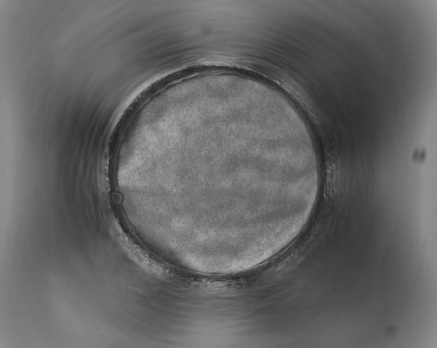 X0000114660976200911101339