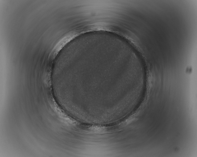 X0000114660977200911101339