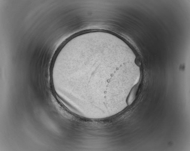 X0000114660980200911101339