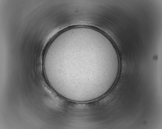 X0000114660982200911101339