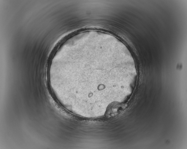 X0000114660984200911101339