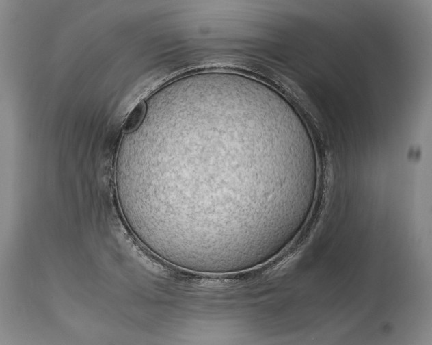 X0000114660985200911101339