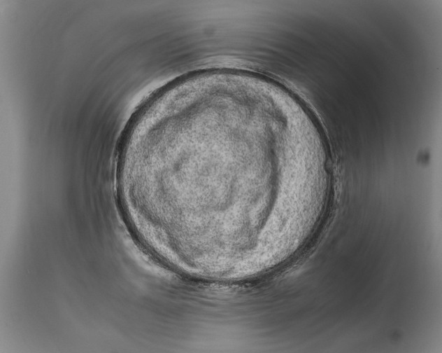 X0000114660987200911101339