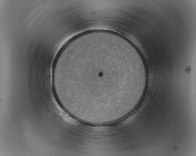 X0000114660988200911101339