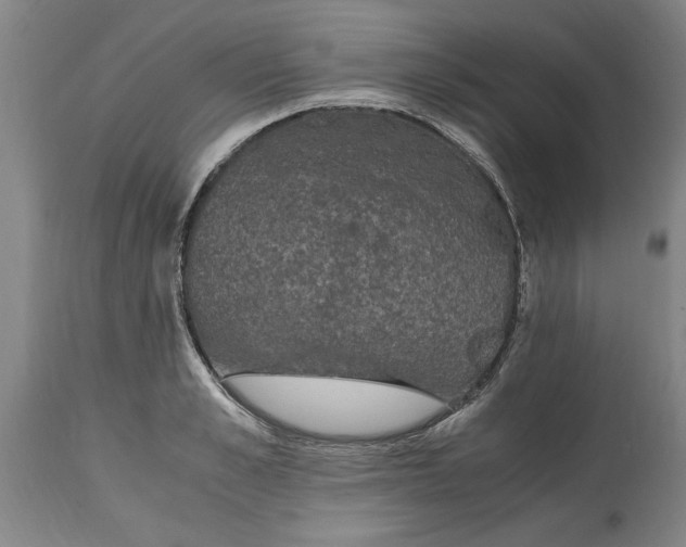 X0000114660989200911101339