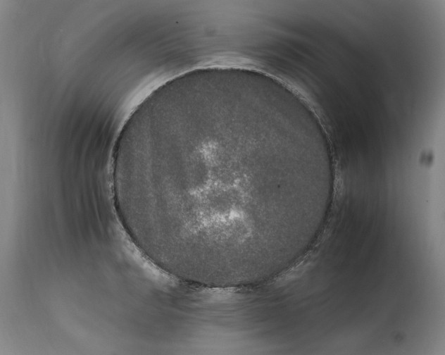 X0000114660990200911101339