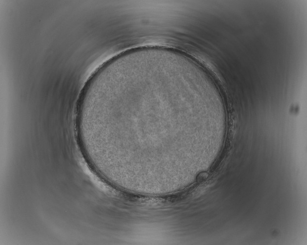 X0000114660991200911101339