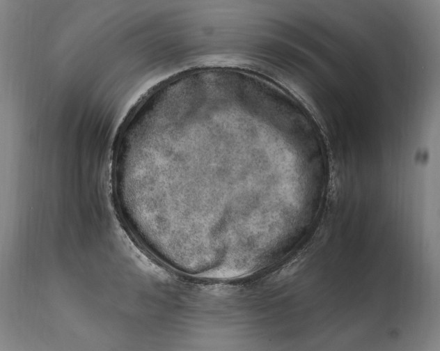 X0000114660992200911101339