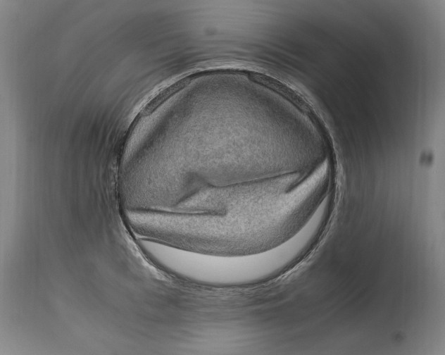 X0000114660993200911101339