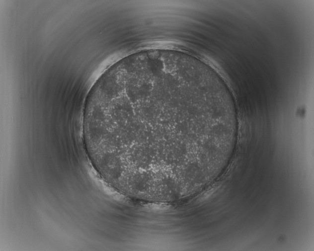 X0000114660994200911101339