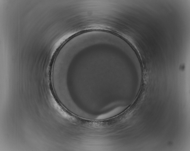 X0000114660995200911101339