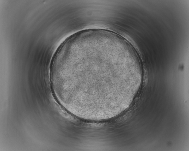 X0000114660996200911101339