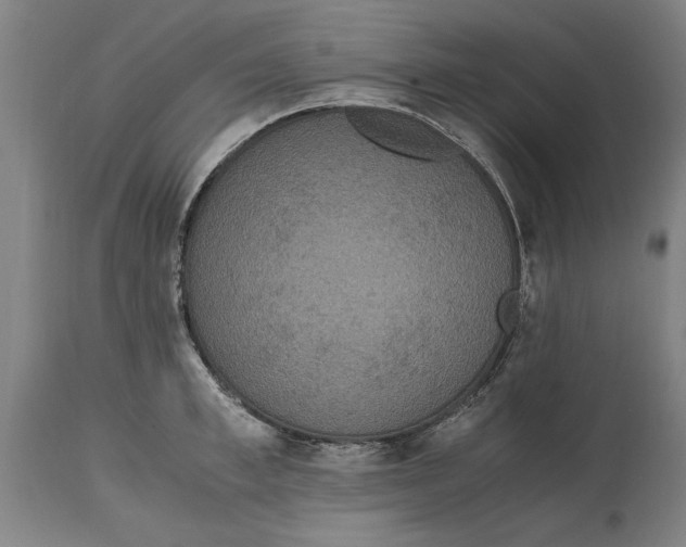 X0000114660997200911101339