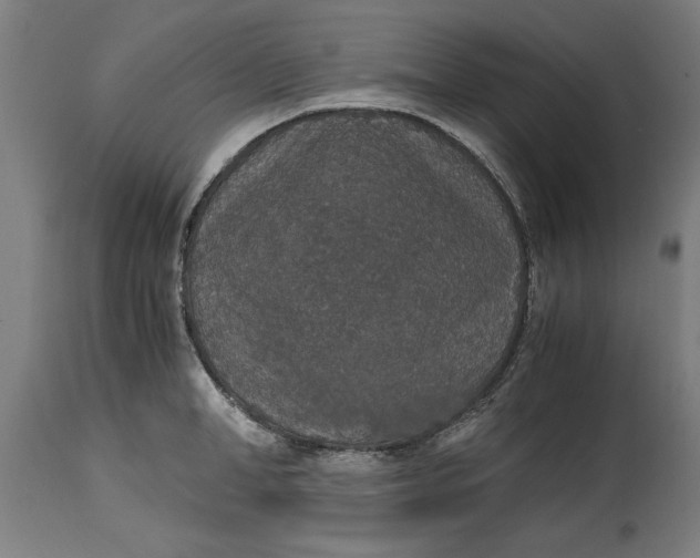 X0000114660998200911101339