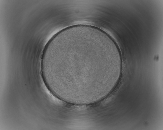 X0000114660999200911101339