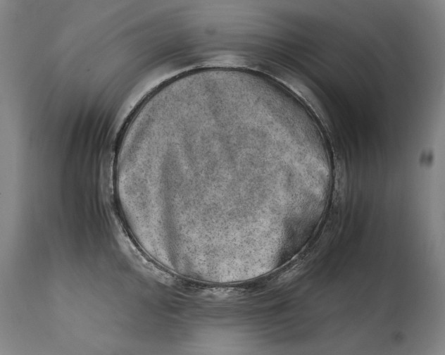 X0000114661000200911101339