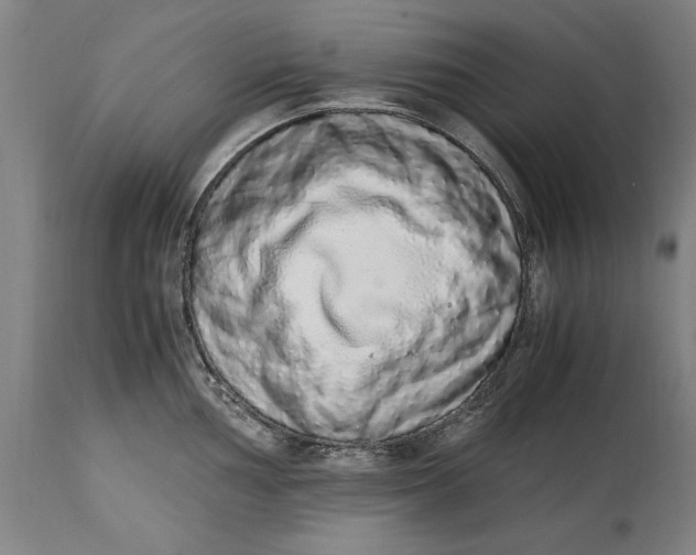 X0000114661002200911101339