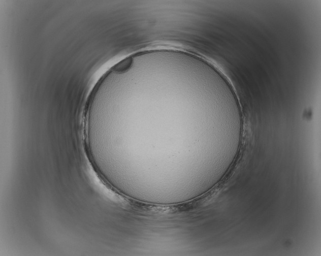 X0000114661003200911101339