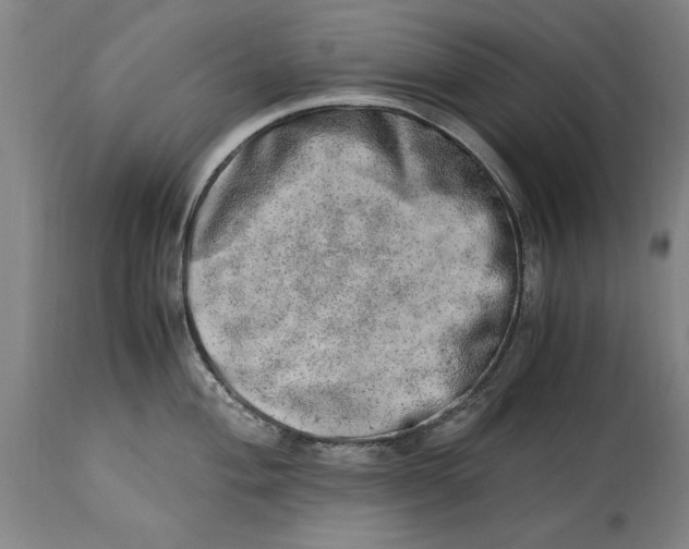 X0000114661004200911101339