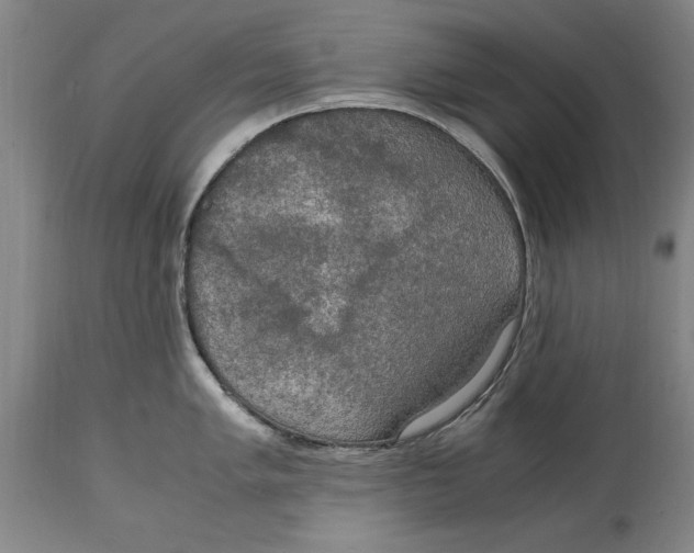 X0000114661005200911101339