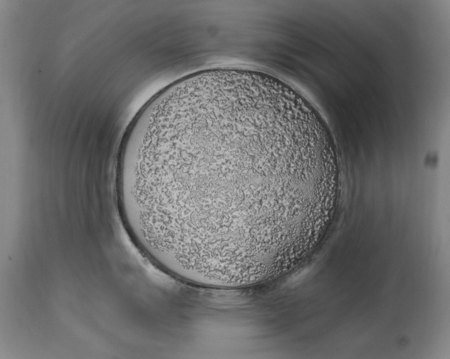 X0000114661007200911101339