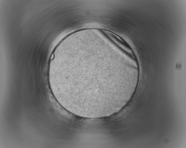 X0000114661008200911101339