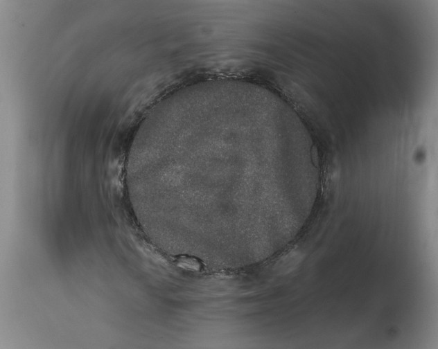 X0000114661010200911101338