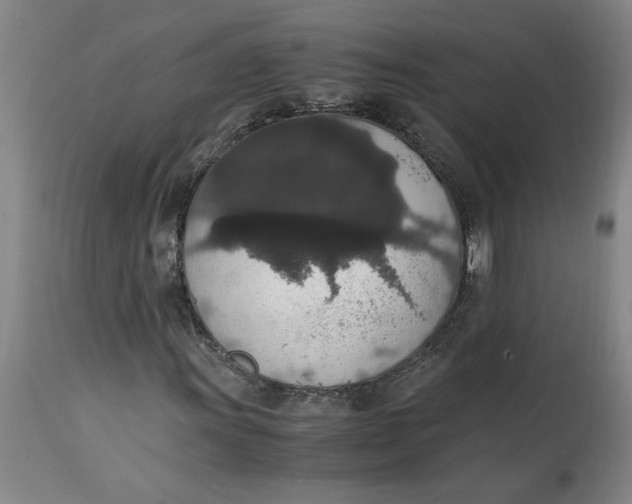 X0000114661011200911101338