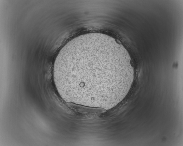 X0000114661012200911101338