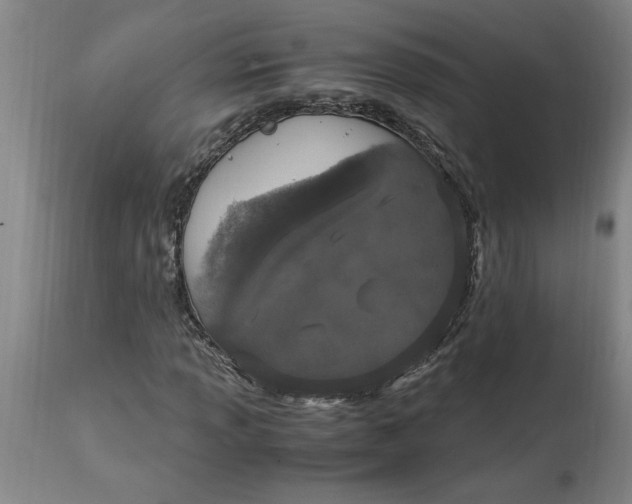 X0000114661013200911101338