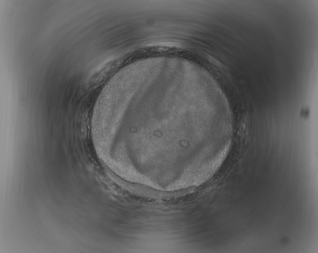 X0000114661014200911101338