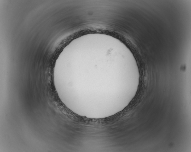 X0000114661016200911101338