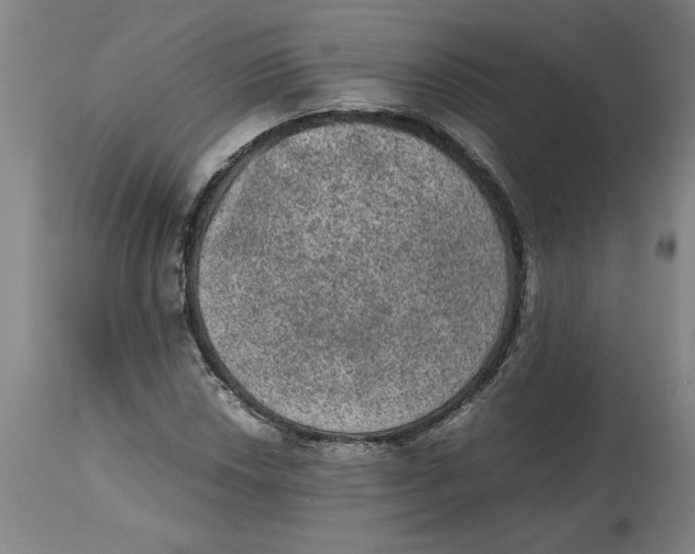 X0000114661018200911101338