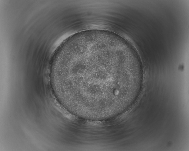 X0000114661019200911101338