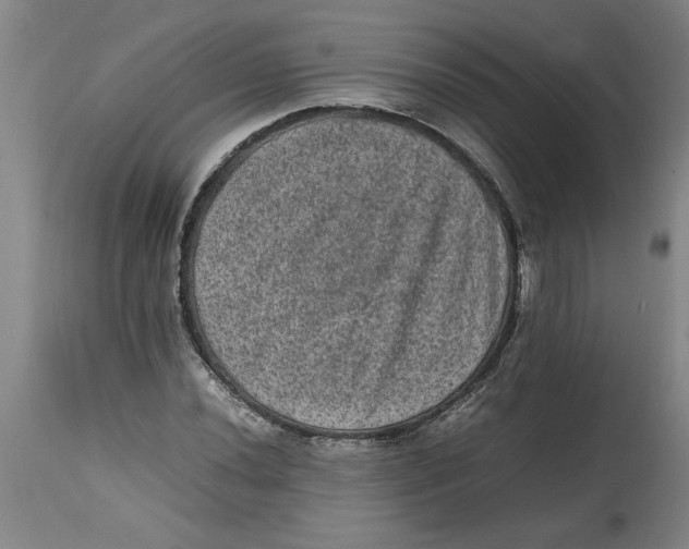 X0000114661020200911101338