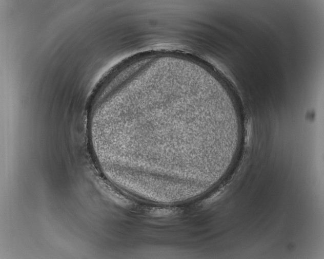 X0000114661021200911101338