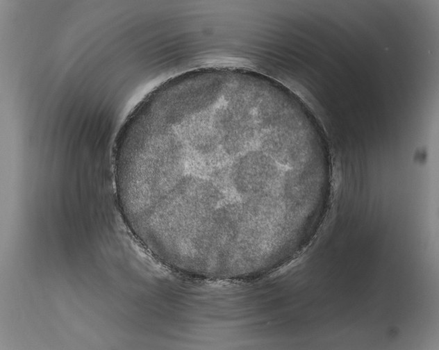 X0000114661022200911101338