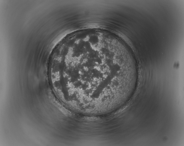 X0000114661023200911101338