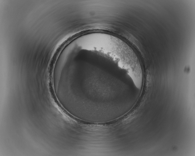 X0000114661024200911101338