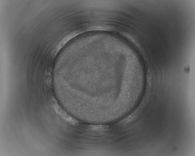 X0000114661025200911101338