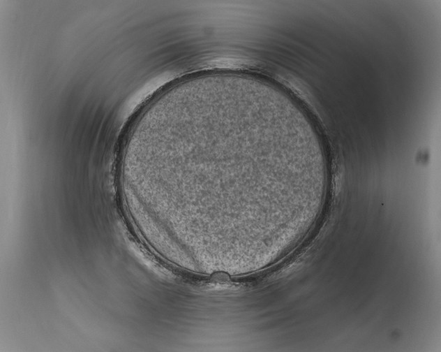 X0000114661026200911101338