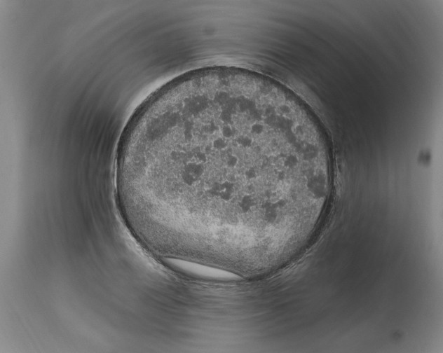 X0000114661028200911101338