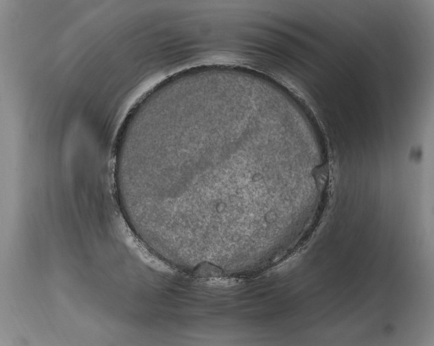 X0000114661029200911101338